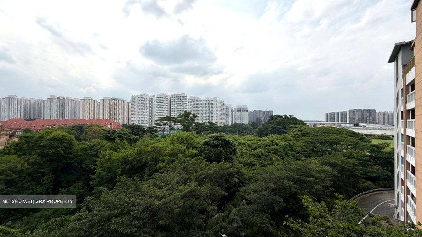 Blk 996A Buangkok Tropica (Hougang), HDB 4 Rooms #603525411